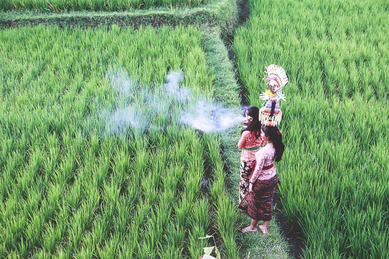 勒贡豪华别墅 乌布 外观 照片